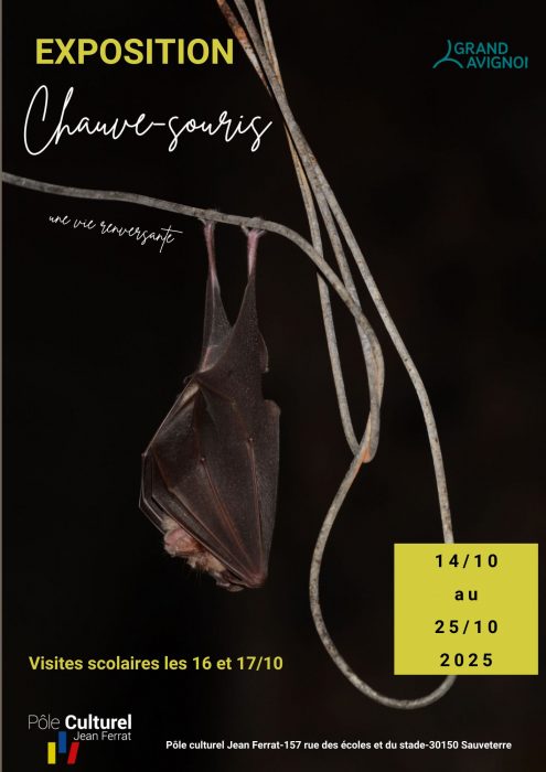 14-10-affiche-expo-chauve-souris-1